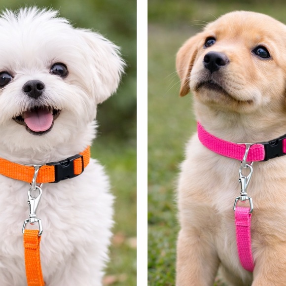 Other - Matching Dog Collar and Leash Set – 2 Sets for $15